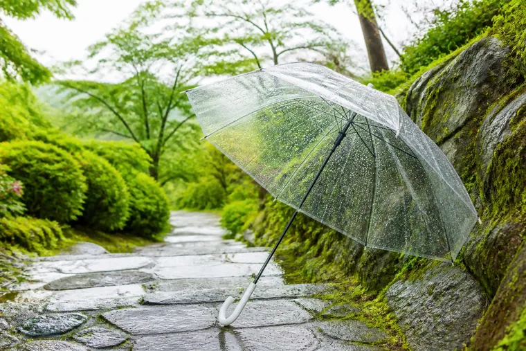 雨天時の撮影の様子